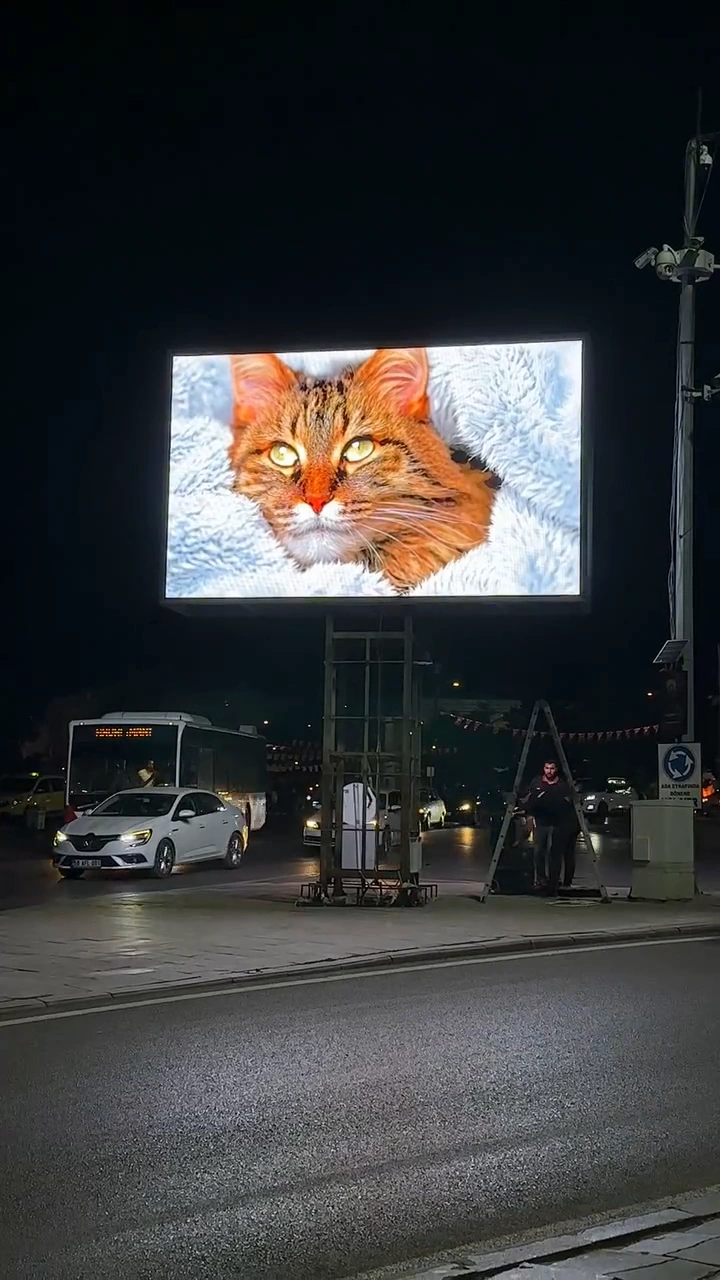 Sivas Belediyesi için SevenLED dış mekân totem LED ekranında kedi görüntüsü